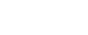 logo stlth
